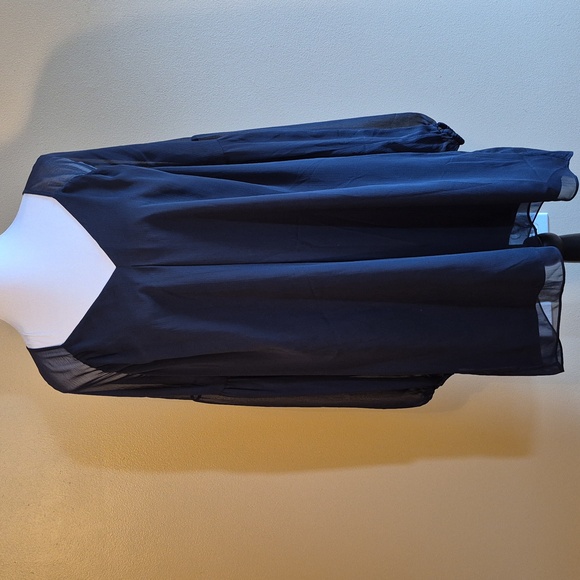 Massimo Dutti Dresses & Skirts - MASSIMO DUTTI Loose Fit Navy V-Neck Sheer Chiffon Sleeve Lined Dress, Size Large